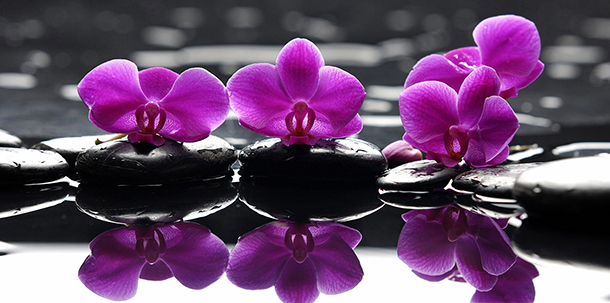 reiki Λίλιαν Σίμου astrolife