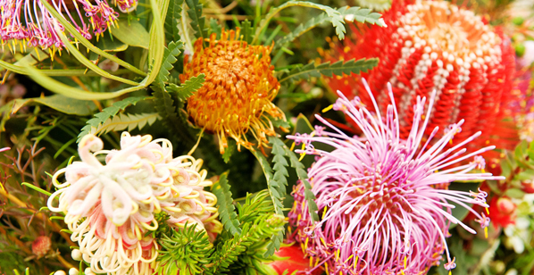 Λίλιαν Σίμου αυστραλιανά ιάματα astrolife