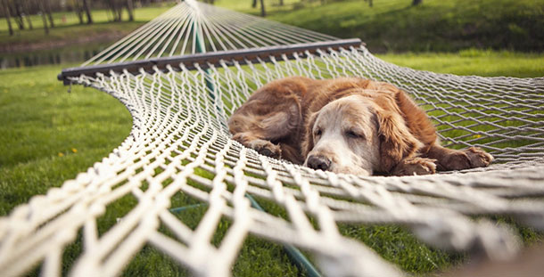 Λίλιαν Σίμου astrolife