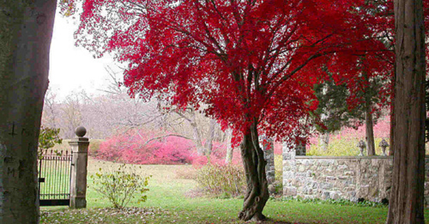 προβλέψεις Λίλιαν Σίμου astrolife