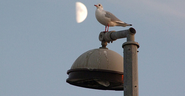 Λίλιαν Σίμου προβλέψεις astrolife
