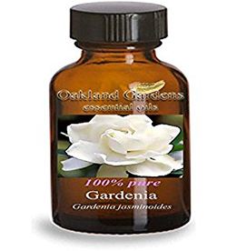 Λίλιαν Σίμου astrolife