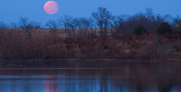Λίλιαν Σίμου astrolife