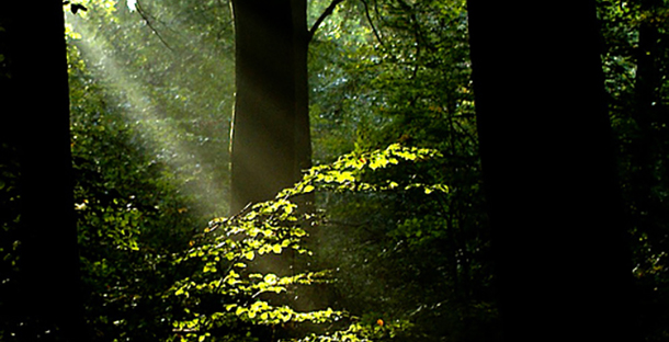 προβλέψεις Λίλιαν Σίμου astrolife