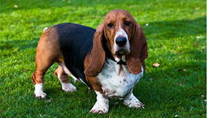 Λίλιαν Σίμου astrolife