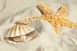 προβλέψεις Λίλιαν Σίμου astrolife