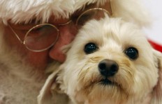 astrolife.gr Santa Claus Λίλιαν Σίμου Άγιος Βασίλης