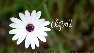 ρούνες προβλέψεις Λίλιαν Σίμου astrolife