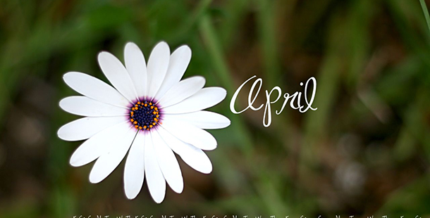 ρούνες προβλέψεις Λίλιαν Σίμου astrolife