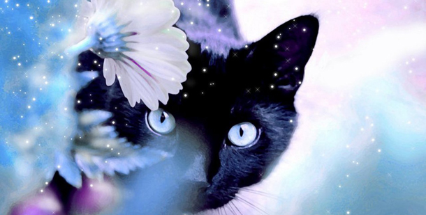 προβλέψεις Λίλιαν Σίμου astrolife