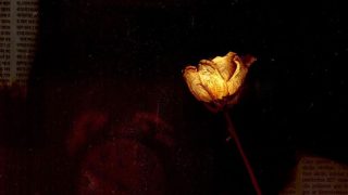 προβλέψεις Λίλιαν Σίμου astrolife