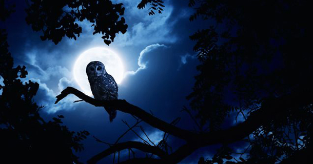 Λίλιαν Σίμου astrolife