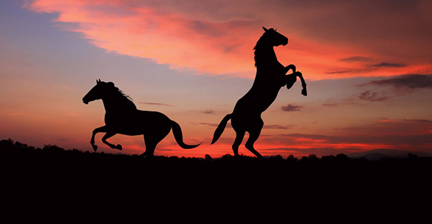 προβλέψεις Λίλιαν Σίμου astrolife