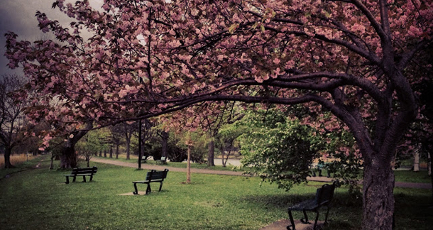 Λίλιαν Σίμου astrolife