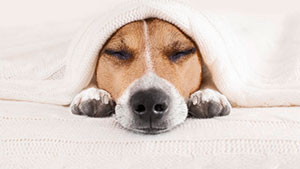 Λίλιαν Σίμου astrolife