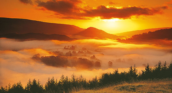 Λίλιαν Σίμου astrolife