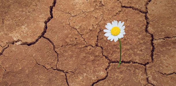 προβλέψεις Λίλιαν Σίμου astrolife