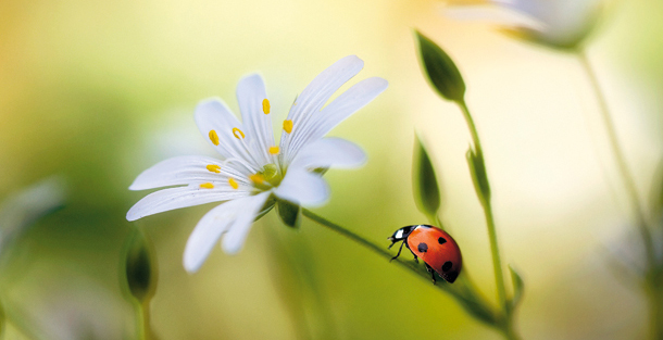 Λίλιαν Σίμου astrolife