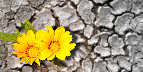 προβλέψεις Λίλιαν Σίμου astrolife