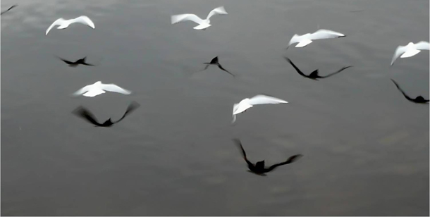 προβλέψεις Λίλιαν Σίμου astrolife