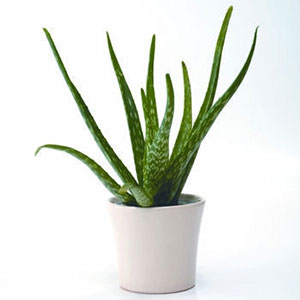 Λίλιαν Σίμου astrolife