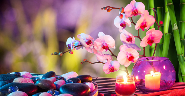 feng shui προβλέψεις Λίλιαν Σίμου astrolife