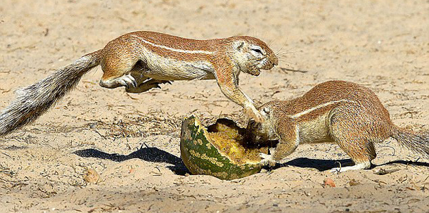 Λίλιαν Σίμου astrolife