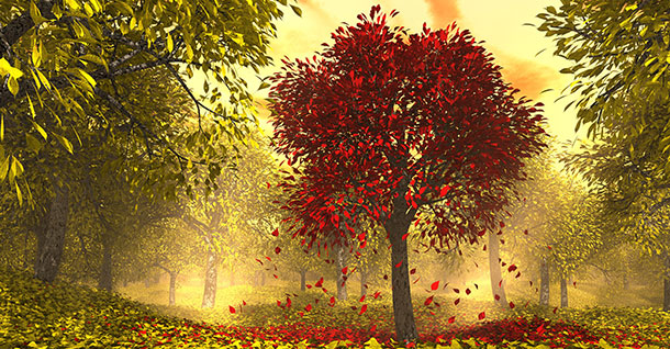 προβλέψεις Λίλιαν Σίμου astrolife