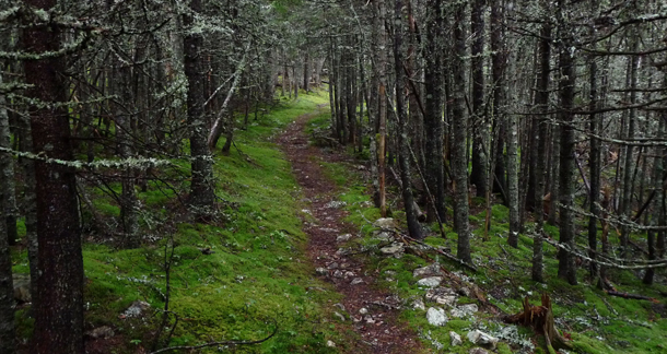 προβλέψεις Λίλιαν Σίμου astrolife