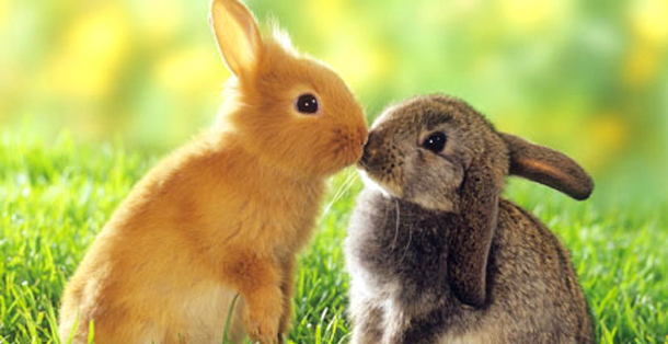 προβλέψεις Λίλιαν Σίμου astrolife