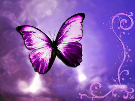 butterfly-life-violet-awesome