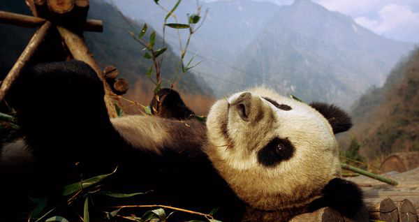 εβδομαδιαίες προβλέψεις astrolife