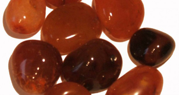 καρνεόλης astrolife