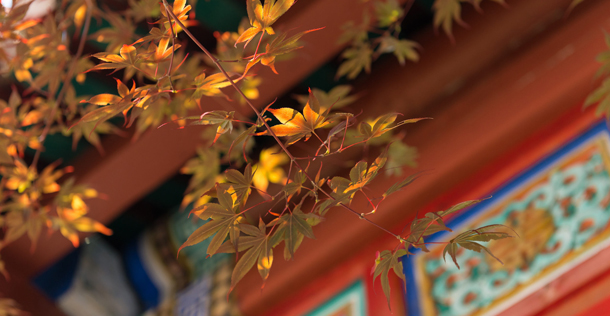 astrolife Λίλιαν Σίμου