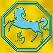 chinois-cheval