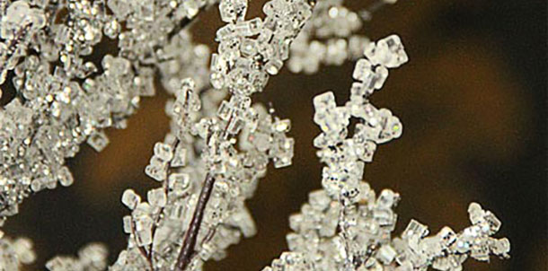 προβλέψεις Λίλιαν Σίμου astrolife