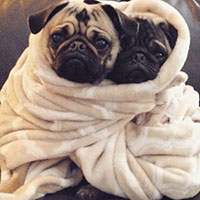 Λίλιαν Σίμου astrolife