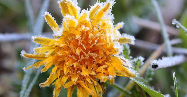 Λίλιαν Σίμου astrolife