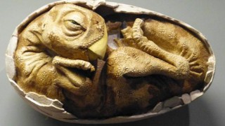 Λίλιαν Σίμου astrolife