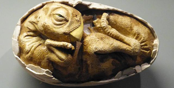 Λίλιαν Σίμου astrolife