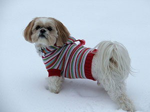 Λίλιαν Σίμου astrolife