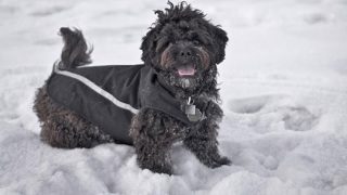 Λίλιαν Σίμου astrolife