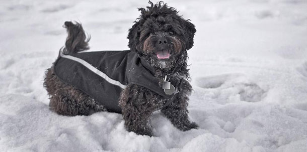 Λίλιαν Σίμου astrolife