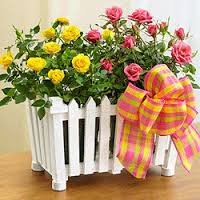 προβλέψεις Λίλιαν Σίμου astrolife