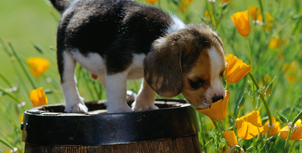 Λίλιαν Σίμου astrolife