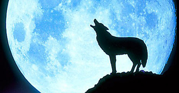 astrolife Λίλιαν Σίμου