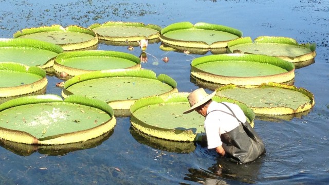 προβλέψεις Λίλιαν Σίμου astrolife