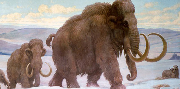 Λίλιαν Σίμου astrolife