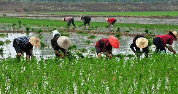 Λίλιαν Σίμου astrolife