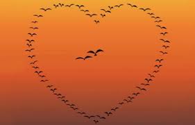 Λίλιαν Σίμου astrolife